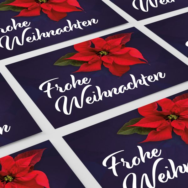 8 moderne Weihnachtskarten mit Umschlag - Motiv Weihnachtsstern 1 - Design-Karten zu Weihnachten im Set