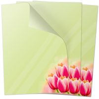 100 Blatt Motivpapier-5116 DIN A4 Briefpapier Frühling Tulpen Tulpe rot-gelb 