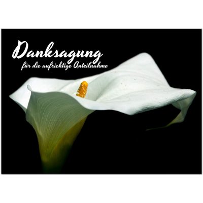 15 x Danksagung Trauerkarten mit 15 Umschlägen im Set - Danke nach Trauer, Beerdigung, Sterbefall, Friedhof, Begräbnis