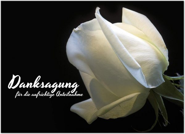 15 x Danksagung Trauerkarten mit 15 Umschlägen im Set - Danke nach Trauer, Beerdigung, Sterbefall, Friedhof, Begräbnis