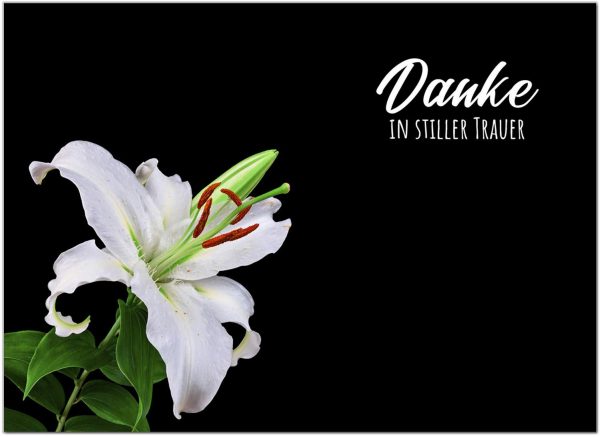 15 x Trauerkarten Danksagung mit 15 Umschlägen im Set - Danke nach Trauer, Beerdigung, Sterbefall, Friedhof, Begräbnis