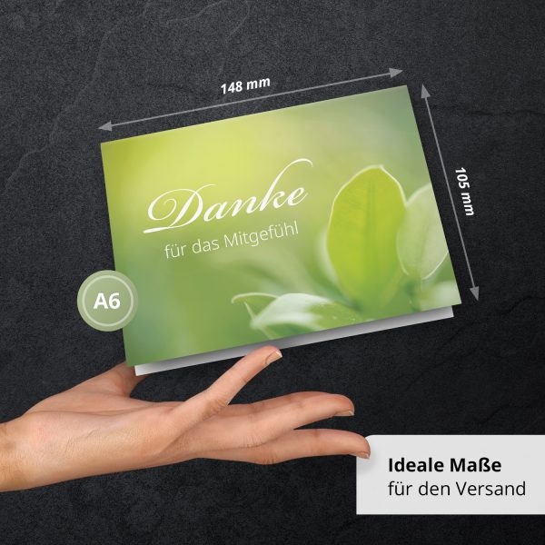 Danksagungskarten Trauer – 10 Stück mit Umschlägen – Motiv: Grüne Natur – Trauerkarten Danksagung mit Text – Dankeskarten Trauer nach Beerdigung – Bild 4