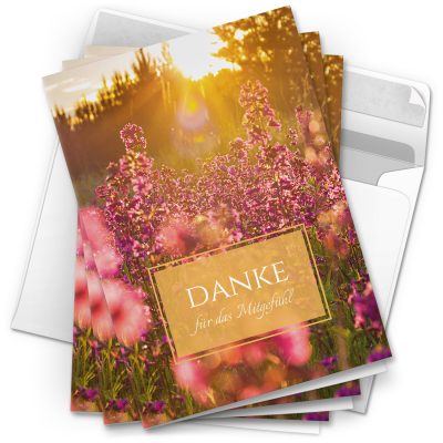Danksagungskarten Trauer – 10 Stück mit Umschlägen – Wiese im Sonnenschein – Trauerkarten Danksagung mit Text – Dankeskarten Trauer nach Beerdigung