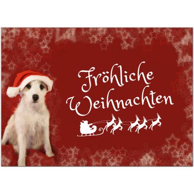 10 x moderne Weihnachtskarten mit Umschlag, Hund Witzig rot mit Text - Grußkarten im Postkarten Format / Weihnachten / im Set