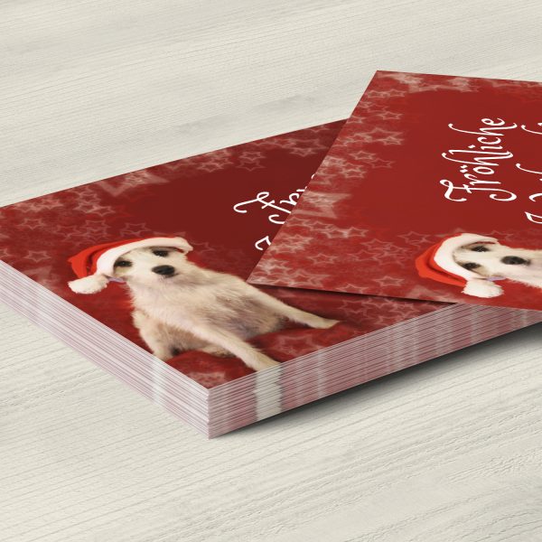 10 x moderne Weihnachtskarten mit Umschlag, Hund Witzig rot mit Text - Grußkarten im Postkarten Format / Weihnachten / im Set – Bild 5