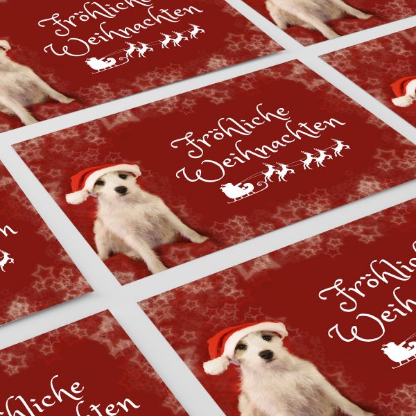 10 x moderne Weihnachtskarten mit Umschlag, Hund Witzig rot mit Text - Grußkarten im Postkarten Format / Weihnachten / im Set – Bild 6