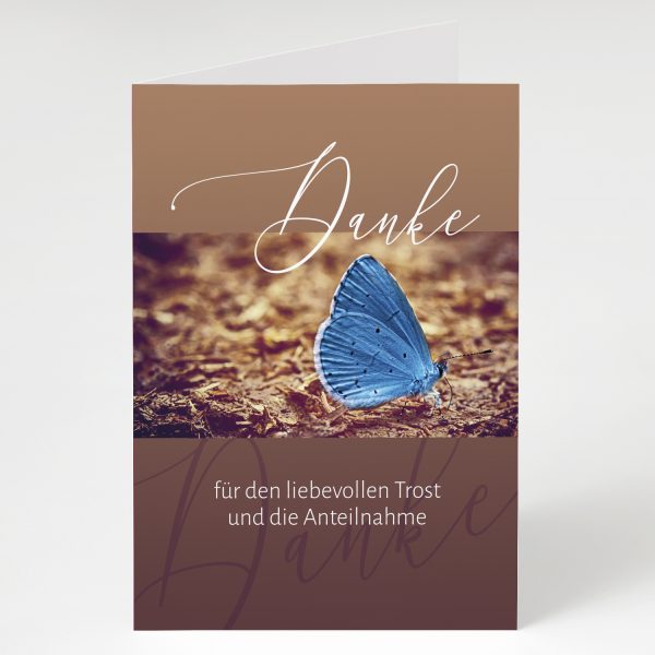 10 x Trauer Danksagungskarten Klappkarten mit Umschlag A6, Trauerkarten Motiv Schmetterling blau braun, Danke Sagen nach Beerdigung, Trauer – Bild 4