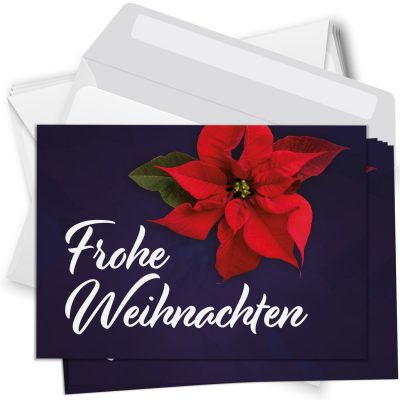 10 moderne Weihnachtskarten mit Umschlag - Motiv Weihnachtsstern 1 - Design-Karten zu Weihnachten im Set