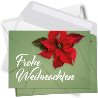 10 moderne Weihnachtskarten mit Umschlag - Motiv Weihnachtsstern 2 - Design-Karten zu Weihnachten im Set