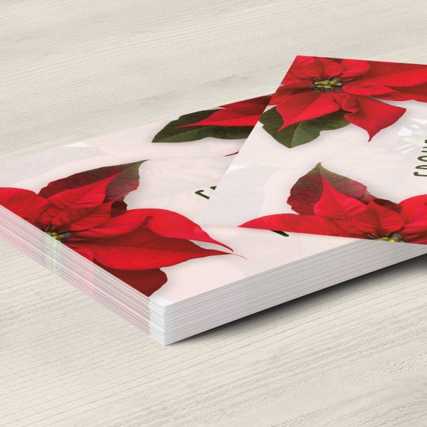 10 moderne Weihnachtskarten mit Umschlag - Motiv Weihnachtsstern 3 - Design-Karten zu Weihnachten im Set – Bild 5