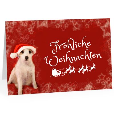 Große XXL Weihnachtskarte DIN A4 (Design Hund mit Weihnachtsmütze) mit Umschlag / Weihnachten / Klappkarte / Grußkarte / zum Geschenk / moderne Karte